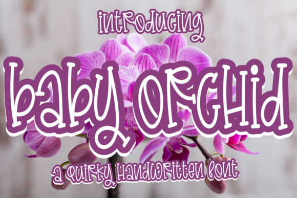 Baby Orchid Font Review