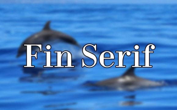 Fin Serif: A Stylish Font for Creative Campaigns
