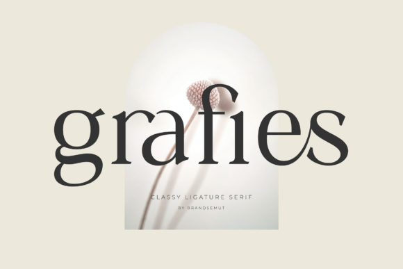 Grafies: A Serif Font for Web Design