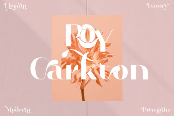 Use Roy Carkton for Impactful Design